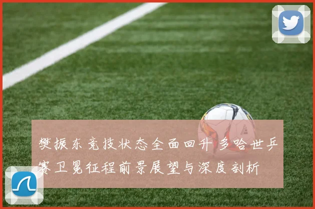 樊振东竞技状态全面回升 多哈世乒赛卫冕征程前景展望与深度剖析